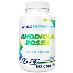 RHODIOLA ROSEA - Rhodiola Rosea