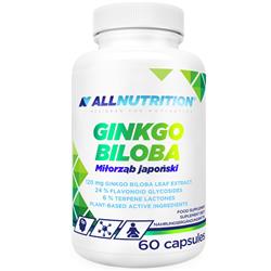 Ginkgo Biloba