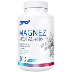 MAGNEZIJ+KALIJ+B6