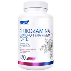 Glukozamin Kondroitin + MSM Forte